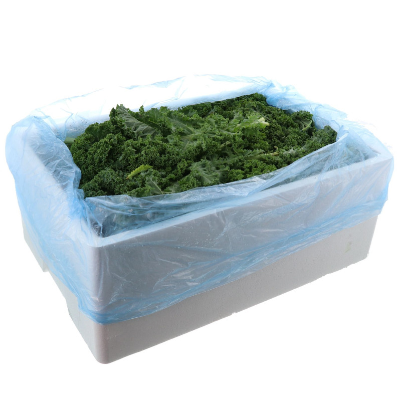 CHOU CURLY KALE VERT 4KG